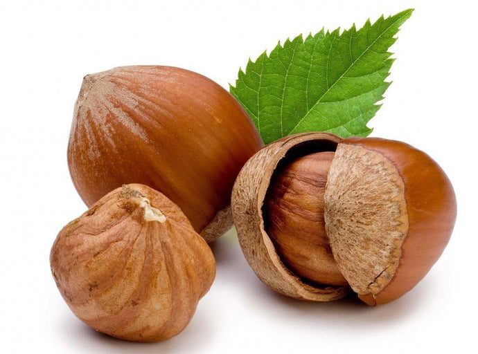 Hazelnuts are good for the human body